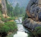 El Parque Natural del Alto Tajo es muestra de la variedad natural de la provincia.