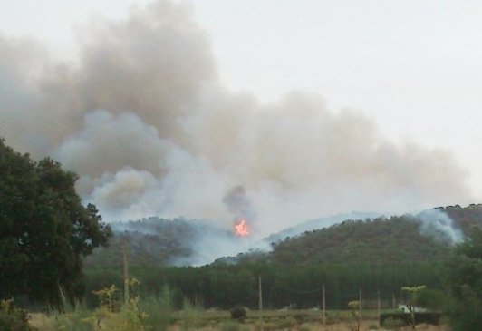 Ultima Hora El Incendio De Uceda Estabilizado Pero Sin Control Mantiene El Nivel 2 Y Arrasa Ya Mas De 700 Hectareas Guada News