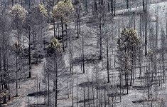  Los efectivos de la Unidad Militar de Emergencias (UME) abandonan la zona del incendio del Alto Tajo