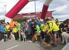 Extraordinaria participación en la segunda prueba del IV Circuito Diputación de canicross celebrada en Marchamalo