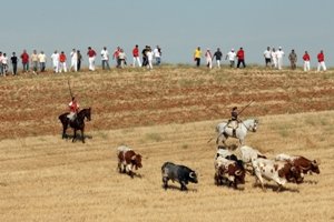 La Bajada será un año más, el plato fuerte de los festejos taurinos de Yunquera