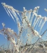 Vuelve el intenso frío a Guadalajara, que está en alerta naranja 