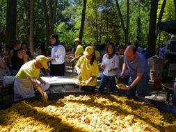 Gran éxito de la Paella Solidaria de la Diputación para ayudar a los más necesitados 