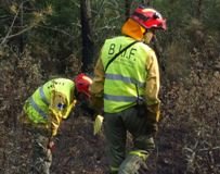 Más de 500 agentes medioambientales vigilan el alto riesgo de incendios