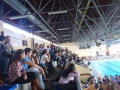 El Club Natación Guadalajara cierra el año endulzando deportivamente las navidades .