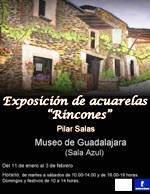 La artista Pilar Salas expone “Rincones” en la Sala Azul del Museo de Guadalajara