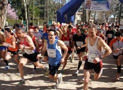 Casi trescientos atletas llenan de deporte la monumentalidad de Sigüenza 