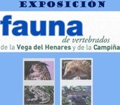 El Aula Medioambiental Municipal de Yunquera albergará una exposición sobre la fauna de vertebrados de la Vega del Henares y La Campiña