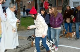 Celebración de San Antón en Yunquera