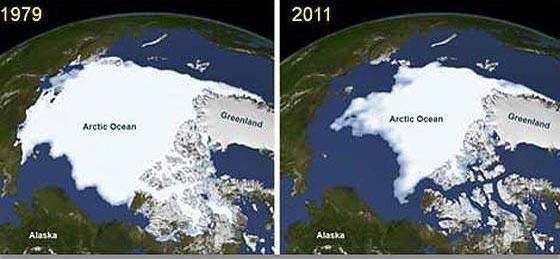 La NASA descubre un bosque de plantas marinas bajo el hielo del Ártico 