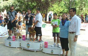 El éxito de I Concurso Canino Sin Pedigree desborda todas las previsiones