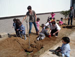 Este viernes, Día del Arbol Infantil en Quer