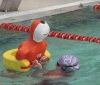 Los infantiles y cadetes del Natación Guadalajara al Campeonato de España