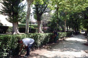 El Paseo de la Alameda de Sigüenza se llena de colores para el verano 