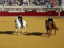 ¿Será gilipollas? ¿Te quieres callar becerro?