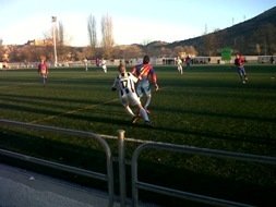 El Sigüenza se impone a un magnífico Torpedo toledano por 3-2