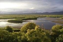 Piden el "cese inmediato" del director del Parque Nacional de Las Tablas de Daimiel