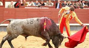 Charla coloquio sobre toros y deportes este sábado en Atanzón