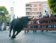 Los encierros de Guadalajara podrán correrse este año, por fin, en puntas 