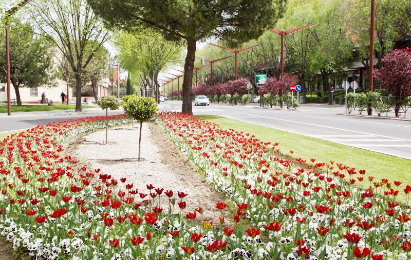 El 8 de mayo: curso sobre el cultivo de macetas y jardineras