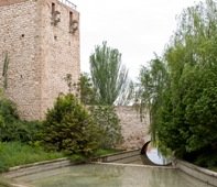 El Ayuntamiento concluye la limpieza de la lámina de agua del barranco del Alamín