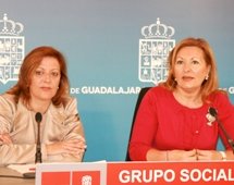 El PSOE pide a Guarinos un plan de empleo para jóvenes en paro