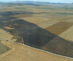 El incendio afecta a 600 hectáreas de cereal y monte bajo