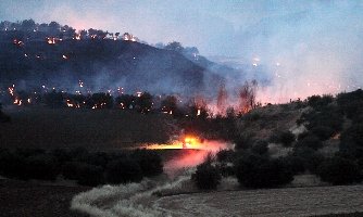 Incendio de Tórtola el jueves a las 23,30 horas (Foto : www.eduardobonillaruiz.com)