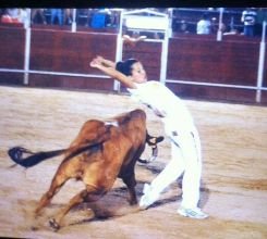 Soneto a Una Noche de Toros en Guadalajara 