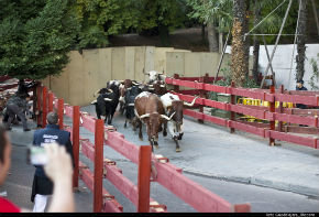 El joven corneado en el encierro sigue grave y volverá a ser operado hoy