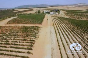 Vista aérea de la Finca Río Negro 
