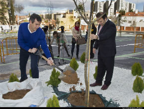 El Alcalde procede a la plantación de uno de los 127 nuevos árboles del Eje Cultural