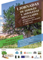 Unas jornadas desvelarán los misterios de los árboles más enigmáticos de Molina de Aragón