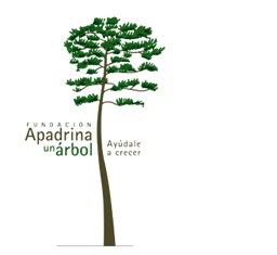 El Partido Popular se pregunta qué compromisos oculta Pérez León con la Fundación Apadrina un Árbol