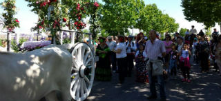 Alovera celebró el VI Día del Caballo estrenando Romería por la Virgen de la Paz