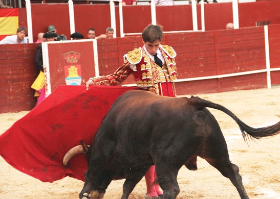 Fernando Rey sale por la puerta grande de La Isla en la novillada concurso de ganaderías de la Feria Chica