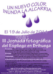 Los campos púrpura briocenses serán captados en la III Jornada Fotográfica del Espliego de Brihuega 