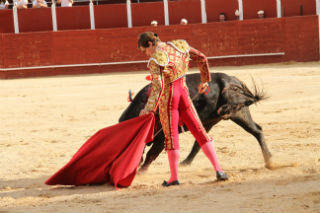 Curro de la Casa pone patas abajo La Isla de Trillo 