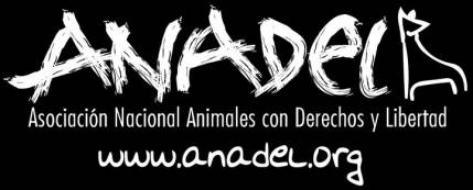 Anadel denuncia a los dueños de una finca en Almoguera por "tener a sus animales sin comida durante meses"