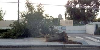 El viento deja su huella en la capital durante una tremenda tormenta