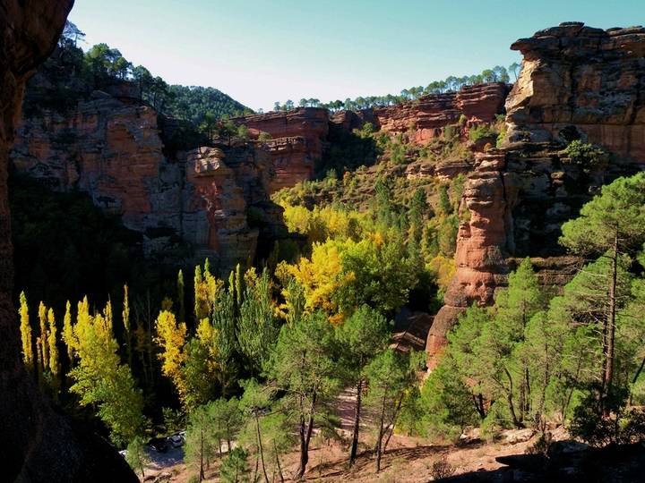 El Geoparque de la Comarca de Molina-Alto Tajo será sede de las XXXII Jornadas de Paleontología de la SEP