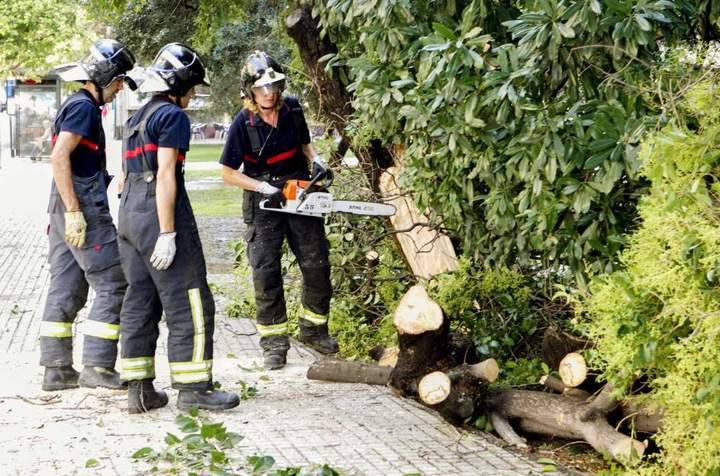 Los bomberos rescatan a un hombre en Torrejón del Rey, cortando una rama que tenía clavada en el muslo