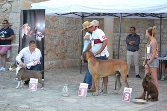 Fuentenovilla celebró su I Concurso Nacional Canino 