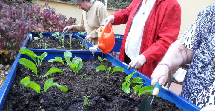 El I Concurso de Jardines y Huertos premiará la “participación en estos espacios” de las personas mayores de residencias y centros de día